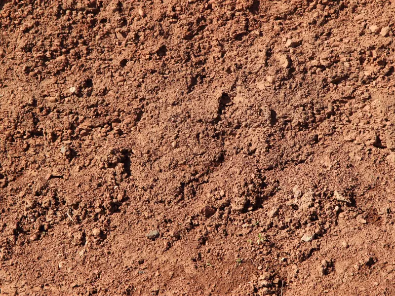Clay soil texture and consistency.