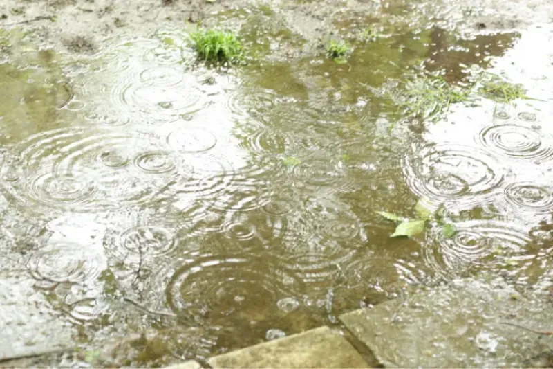 Standing water in front of a house during a rainstorm.