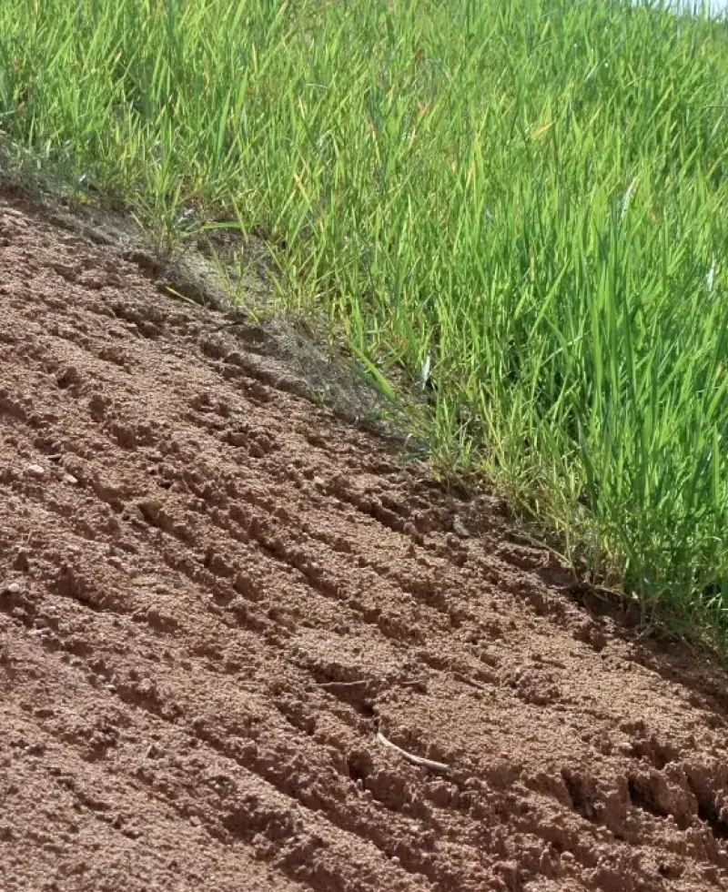 Unsecured soft clay soil on an incline can result in problems.