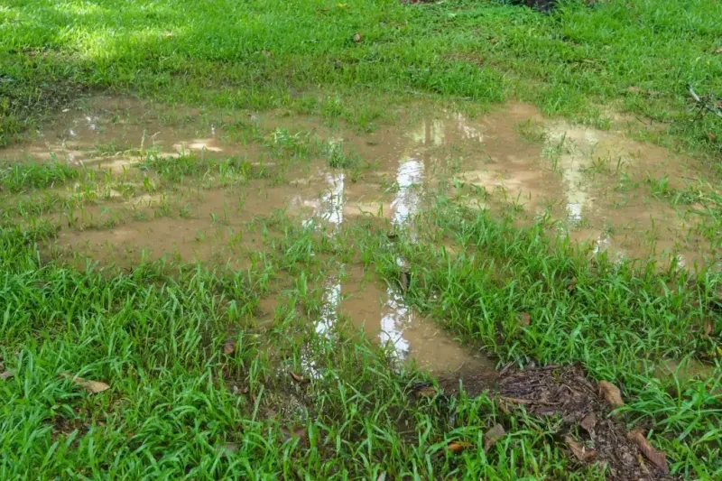 Undrained water in grounds can lead to foundation problems.