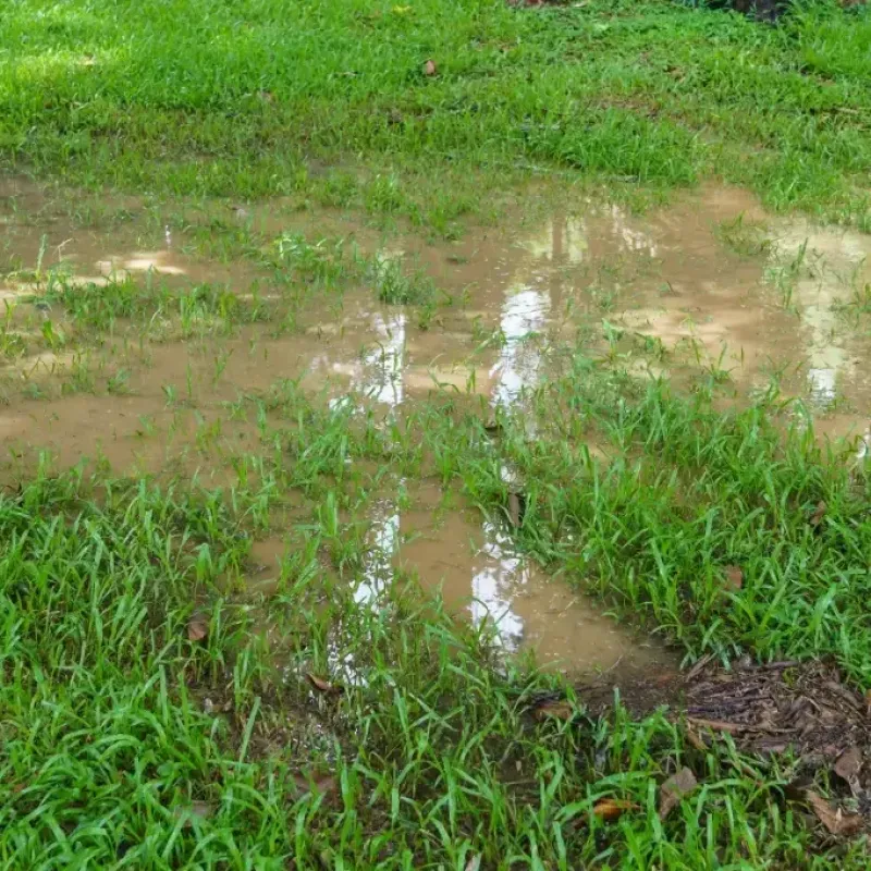 Undrained water in grounds can lead to foundation problems.