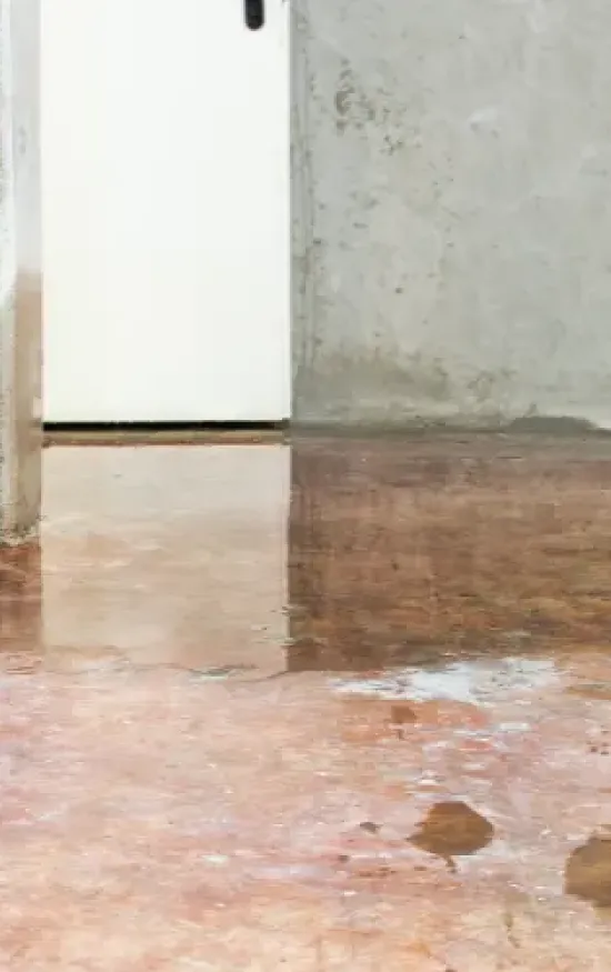 Basement waterproofing can prevent water from damaging the integrity of your basement.