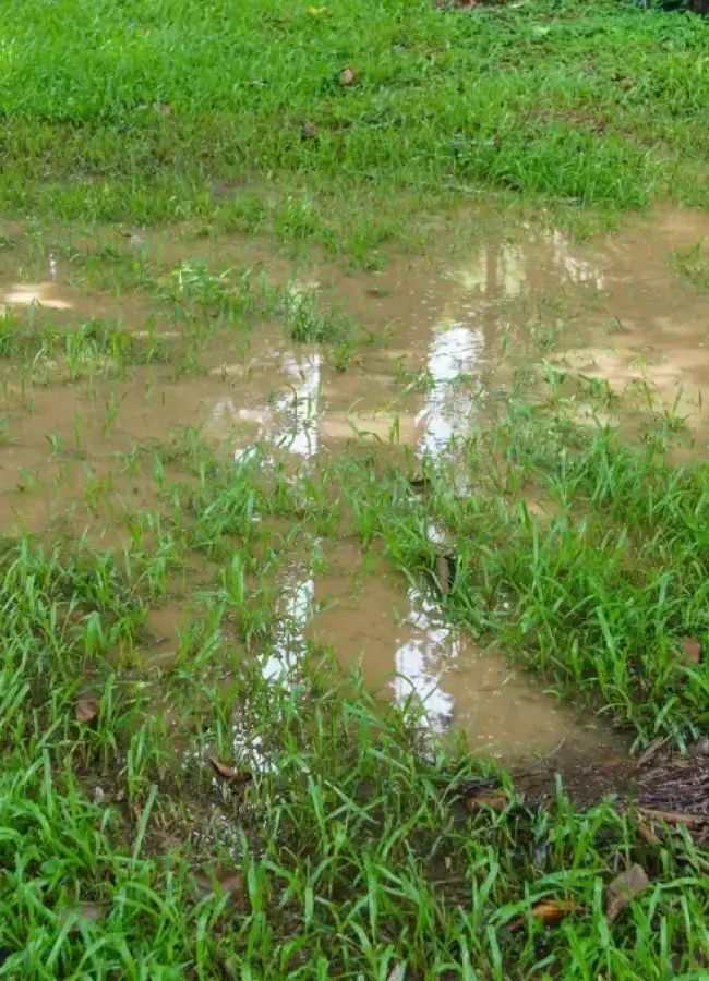 Undrained water in grounds can lead to foundation problems.