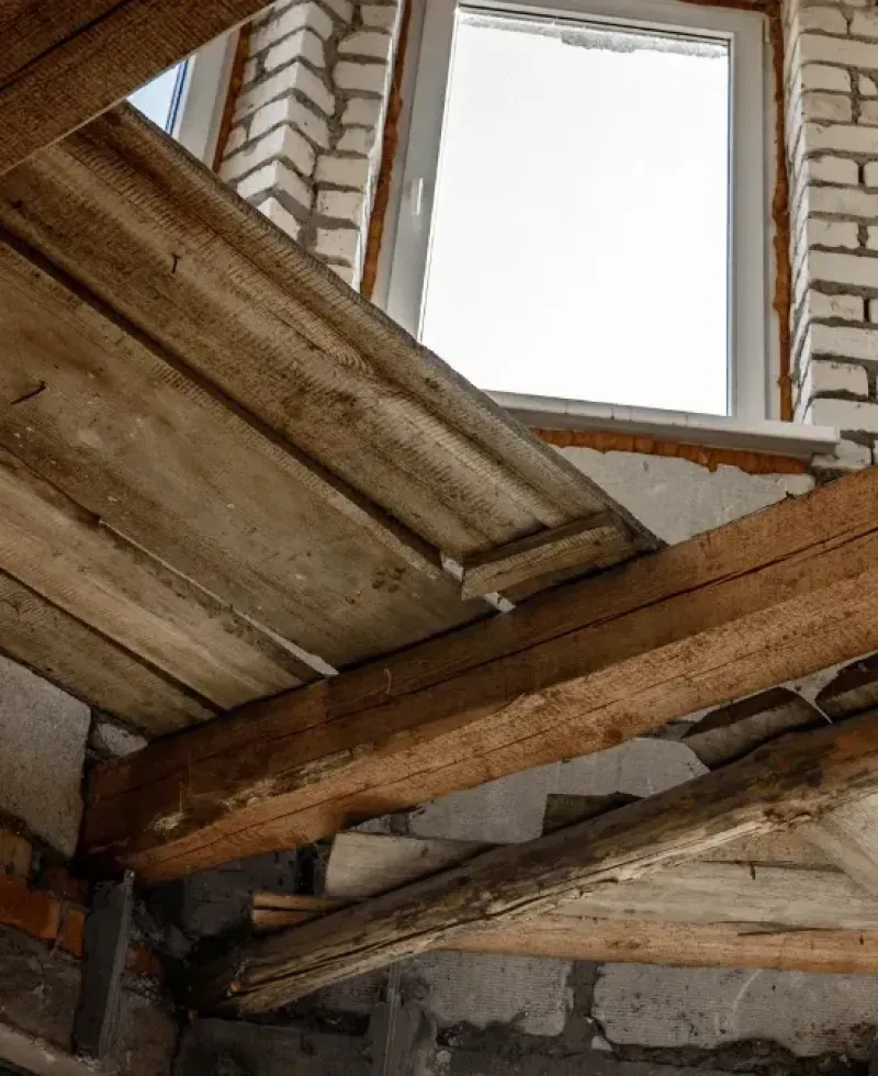 Wood damage can be signs of a persistent problem.