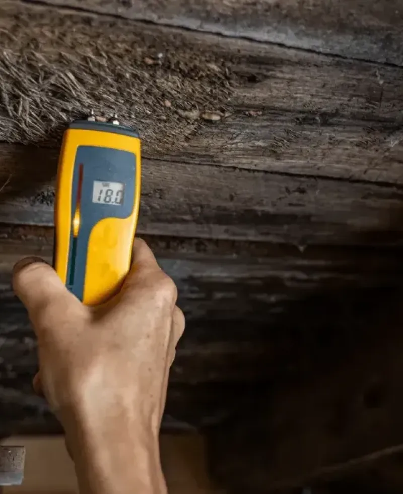 Wood inspection can determine the extent of your wood problem.