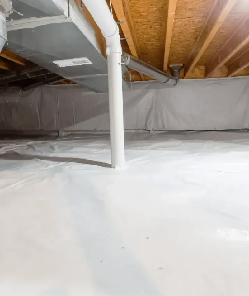 A newly encapsulated crawl space to prevent pests and moisture out.